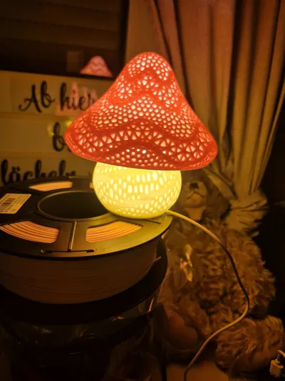 https://makerworld.bblmw.com/makerworld/model/1092886/1086683/ratings/686b43d0-7cf4-11f0-b7ee-cdf58a808c42.jpg