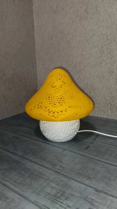 https://makerworld.bblmw.com/makerworld/model/1092886/1086683/ratings/ba08a750-9388-11f0-88b3-77eb0dacd519.jpg