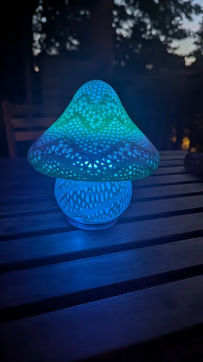 https://makerworld.bblmw.com/makerworld/model/1092886/1086683/ratings/df366880-6e96-11f0-8897-81977a444fb1.jpg