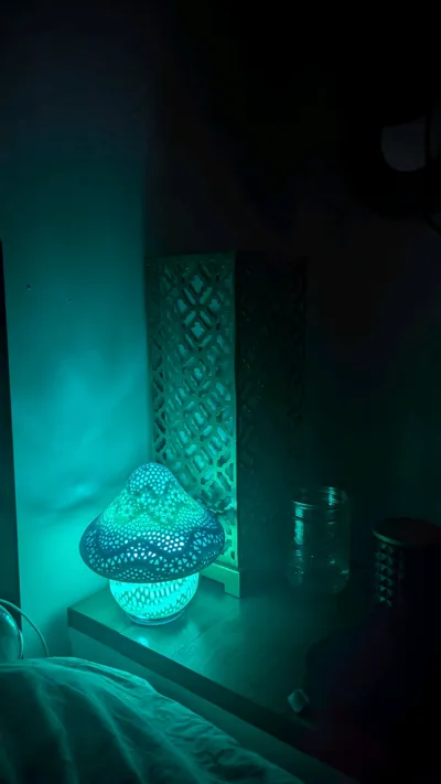 https://makerworld.bblmw.com/makerworld/model/1092886/1086683/ratings/df3cd120-6e96-11f0-8897-81977a444fb1.jpg