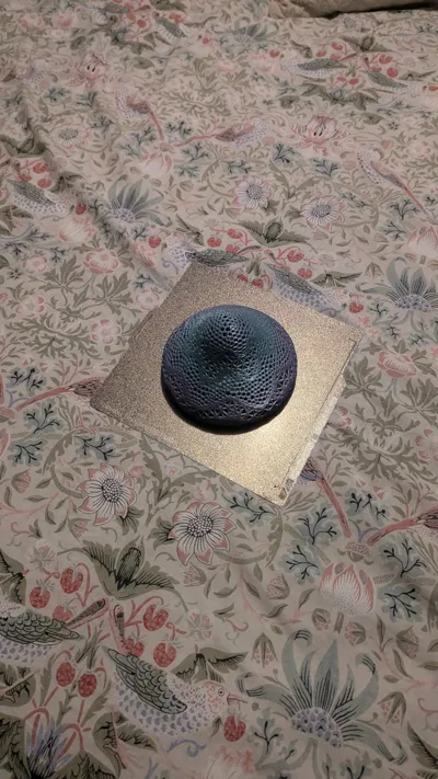 https://makerworld.bblmw.com/makerworld/model/1092886/1086683/ratings/df899190-6e96-11f0-8897-81977a444fb1.jpg