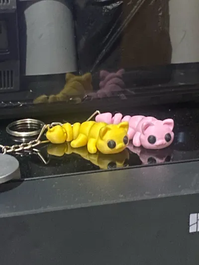 https://makerworld.bblmw.com/makerworld/model/1092959/1086774/ratings/fe57af10-55bb-11f0-b9b9-a33d099c9f20.jpg