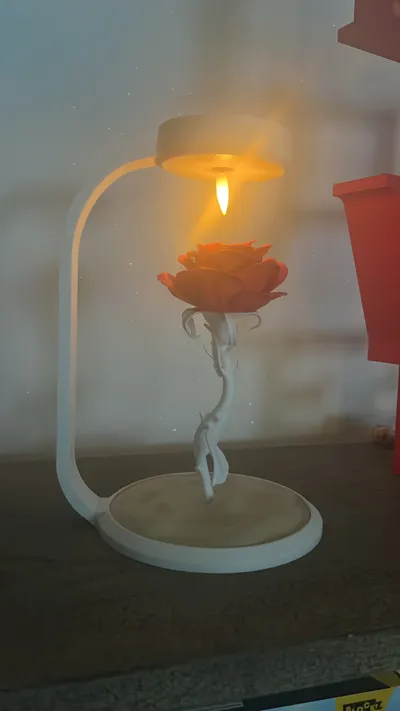 https://makerworld.bblmw.com/makerworld/model/1093233/1087166/ratings/0cdfe110-7ff1-11f0-a796-f5834b603105.jpg