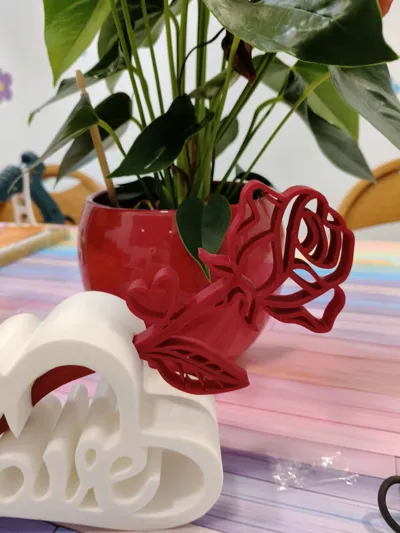https://makerworld.bblmw.com/makerworld/model/1094201/1088323/ratings/09edbb40-fc55-11f0-ab06-2954f89678ce.jpg