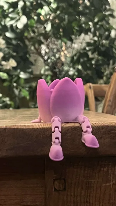 https://makerworld.bblmw.com/makerworld/model/1095879/1090247/ratings/a27d94b0-9f04-11f0-8244-271e5342cde5.jpg