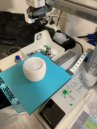 https://makerworld.bblmw.com/makerworld/model/1095983/1090372/ratings/7705e9f0-8cde-11f0-b9f1-43e14c0aa2d7.jpg