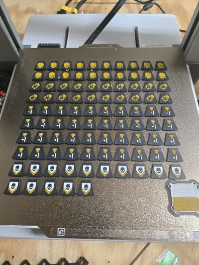 https://makerworld.bblmw.com/makerworld/model/1097470/1092112/ratings/70026d30-4c2a-11f0-92e1-d9beae32298f.jpg