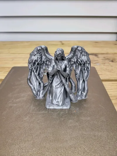 https://makerworld.bblmw.com/makerworld/model/1097961/1092738/ratings/3e668e70-51be-11f0-8ff1-1d4964b84952.jpg