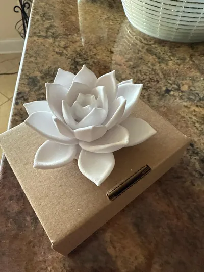https://makerworld.bblmw.com/makerworld/model/1098019/1092799/ratings/24281250-63e2-11f0-8dbc-2383a9b6f3bd.jpg