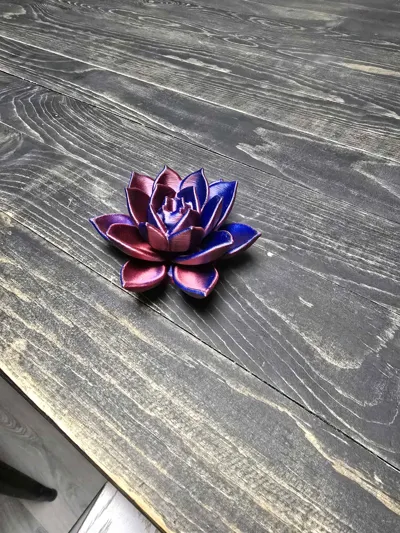 https://makerworld.bblmw.com/makerworld/model/1098019/1092799/ratings/3208e6a0-43ae-11f0-a490-8d9ada23cf6f.jpg