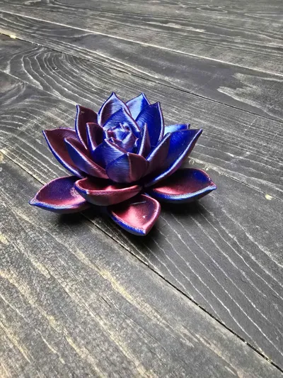 https://makerworld.bblmw.com/makerworld/model/1098019/1092799/ratings/32101290-43ae-11f0-a490-8d9ada23cf6f.jpg