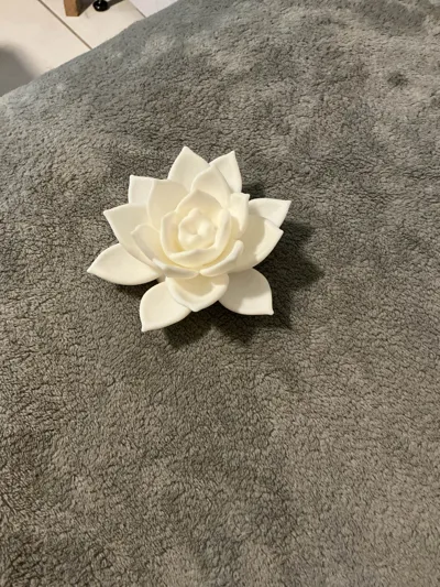 https://makerworld.bblmw.com/makerworld/model/1098019/1092799/ratings/4a5669b0-722c-11f0-b9eb-ad93b3e0e612.jpg