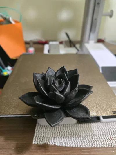 https://makerworld.bblmw.com/makerworld/model/1098019/1092799/ratings/5bb69550-b975-11f0-b968-e70338a20500.jpg
