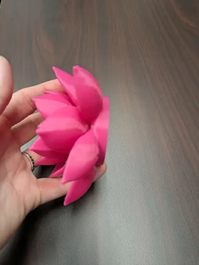 https://makerworld.bblmw.com/makerworld/model/1098019/1092799/ratings/b6d0d840-a4c8-11f0-83af-c172a016e9f6.jpg