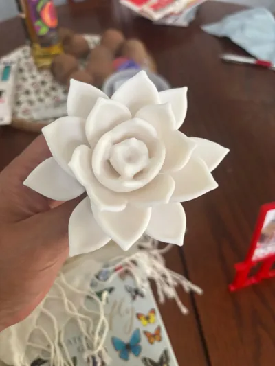 https://makerworld.bblmw.com/makerworld/model/1098019/1124703/ratings/476d0ec0-e9b4-11f0-a6b8-05ec6559b939.jpg