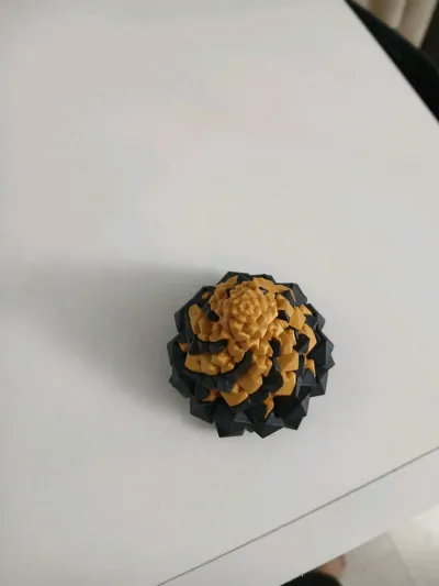 https://makerworld.bblmw.com/makerworld/model/1098936/1107525/ratings/10436470-8380-11f0-a6f3-2f8ee621e6db.jpg