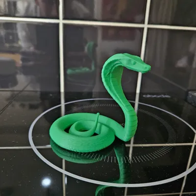 https://makerworld.bblmw.com/makerworld/model/1100364/1095535/ratings/e7f170d0-0b29-11f0-a884-cf01bc9704ec.jpg