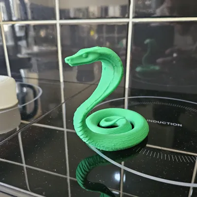 https://makerworld.bblmw.com/makerworld/model/1100364/1095535/ratings/e7f7b260-0b29-11f0-a884-cf01bc9704ec.jpg