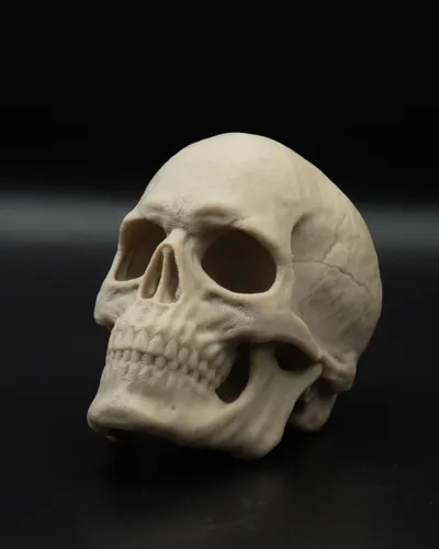https://makerworld.bblmw.com/makerworld/model/110141/117695/ratings/3d0eed10-8a3a-11f0-9b66-31fbc6e46d2d.jpg