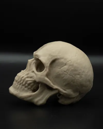 https://makerworld.bblmw.com/makerworld/model/110141/117695/ratings/3d164010-8a3a-11f0-9b66-31fbc6e46d2d.jpg