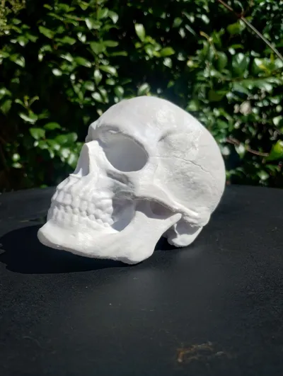 https://makerworld.bblmw.com/makerworld/model/110141/117695/ratings/5e3bee60-26fe-11f0-95b9-e9fe35977f30.jpg