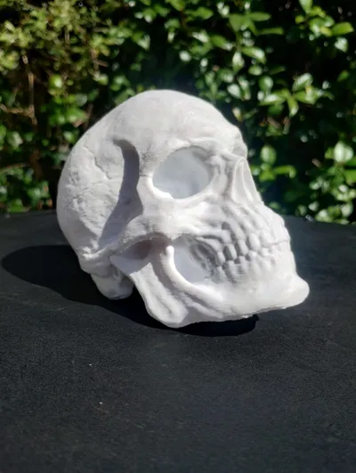 https://makerworld.bblmw.com/makerworld/model/110141/117695/ratings/5e3c3c80-26fe-11f0-95b9-e9fe35977f30.jpg