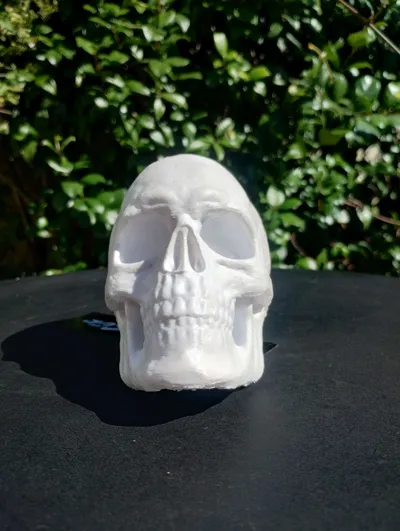 https://makerworld.bblmw.com/makerworld/model/110141/117695/ratings/5e3c8aa0-26fe-11f0-95b9-e9fe35977f30.jpg