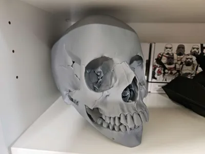https://makerworld.bblmw.com/makerworld/model/110141/117695/ratings/6a9c0980-ab36-11f0-ae77-63d1db58aba2.jpg