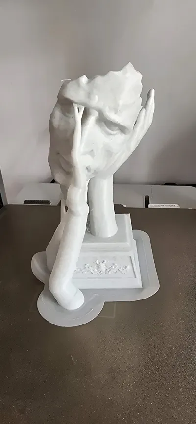 https://makerworld.bblmw.com/makerworld/model/1103667/1099145/ratings/f9b630d0-5e8a-11f0-92fb-0bd8f6f55f47.jpg