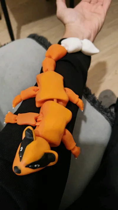 https://makerworld.bblmw.com/makerworld/model/1104231/1099939/ratings/2107c2e0-9ea3-11f0-8771-0b9faebc44e1.jpg