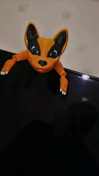 https://makerworld.bblmw.com/makerworld/model/1104231/1099939/ratings/2108d450-9ea3-11f0-8771-0b9faebc44e1.jpg