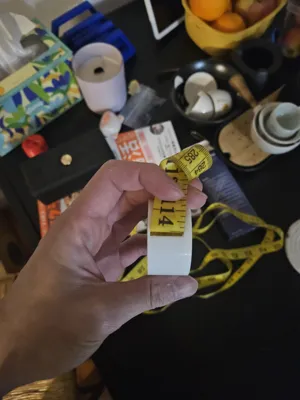 https://makerworld.bblmw.com/makerworld/model/1105178/1116382/ratings/a6cdafb0-087c-11f0-b3bf-853d4cf7f285.jpg