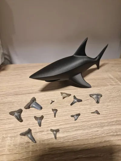 https://makerworld.bblmw.com/makerworld/model/1105712/1101560/ratings/463adea0-c589-11f0-b8db-5112dabdd31d.jpg