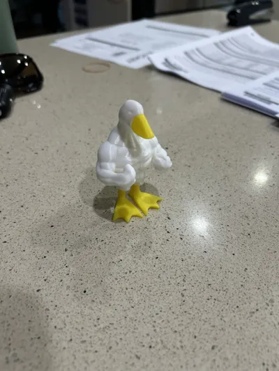 https://makerworld.bblmw.com/makerworld/model/1107249/1103199/ratings/75017c00-fba2-11ef-a933-b11616f52518.jpg