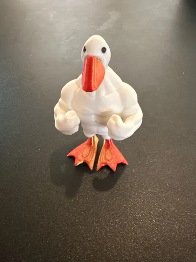 https://makerworld.bblmw.com/makerworld/model/1107249/1103199/ratings/8711fd90-279c-11f0-85ea-4b43b9c7b869.jpg