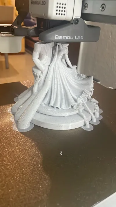 https://makerworld.bblmw.com/makerworld/model/1107661/1103681/ratings/7d1caec0-89d0-11f0-b194-071798fe54a4.jpg