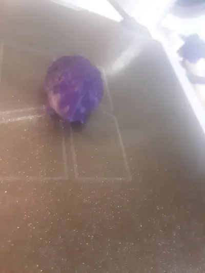 https://makerworld.bblmw.com/makerworld/model/1107684/1103717/ratings/b303e5d0-8c1e-11f0-98f5-071081c50570.jpg