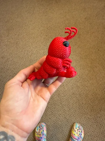 https://makerworld.bblmw.com/makerworld/model/1107928/1103989/ratings/183ade70-32c6-11f0-bdc1-8bb29525fbcb.jpg