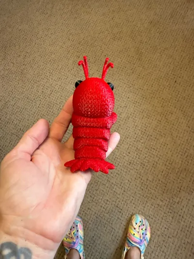 https://makerworld.bblmw.com/makerworld/model/1107928/1103989/ratings/183ade71-32c6-11f0-bdc1-8bb29525fbcb.jpg