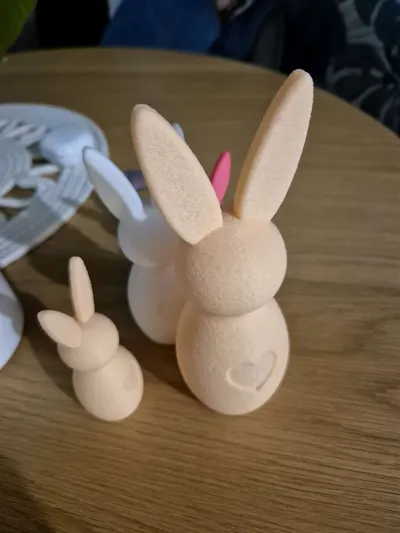 https://makerworld.bblmw.com/makerworld/model/1108945/1124161/ratings/bb1a0590-124a-11f0-a1c3-05155b652f12.jpg