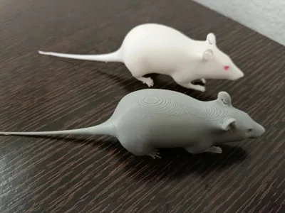 https://makerworld.bblmw.com/makerworld/model/110926/486052/ratings/29e744c0-b9ca-11f0-a56d-81115cfe8f7b.jpg