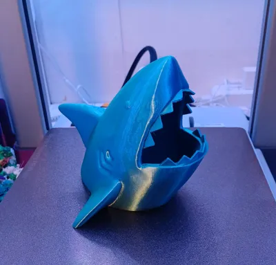 https://makerworld.bblmw.com/makerworld/model/1110269/1106607/ratings/4bd16590-37c3-11f0-bc8f-5f0ae69ca3db.jpg