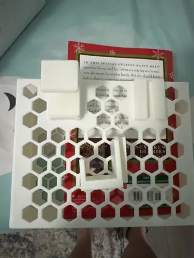 https://makerworld.bblmw.com/makerworld/model/1110453/1106860/ratings/bf669bc0-414f-11f0-b571-bf682563b44f.jpg