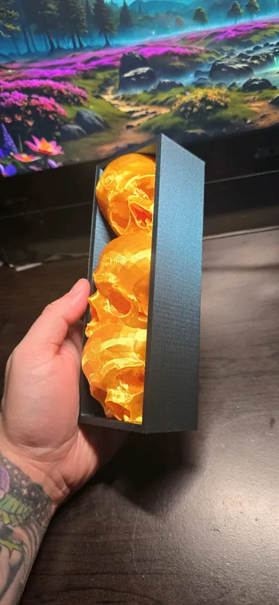https://makerworld.bblmw.com/makerworld/model/1110841/1107327/ratings/9c8da420-892c-11f0-a1fe-7f0c3345c339.jpg