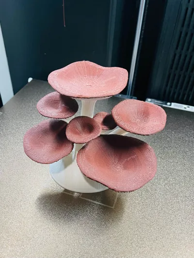 https://makerworld.bblmw.com/makerworld/model/1110937/1107822/ratings/87cc0190-44a2-11f0-acc5-2ff73e1630f1.jpg