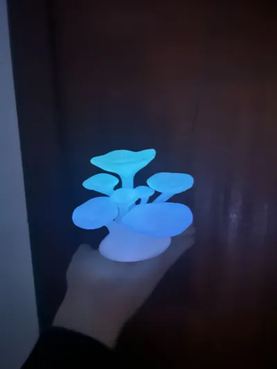 https://makerworld.bblmw.com/makerworld/model/1110937/1657693/ratings/af8d3280-8dc7-11f0-8468-edc6517ca454.jpg