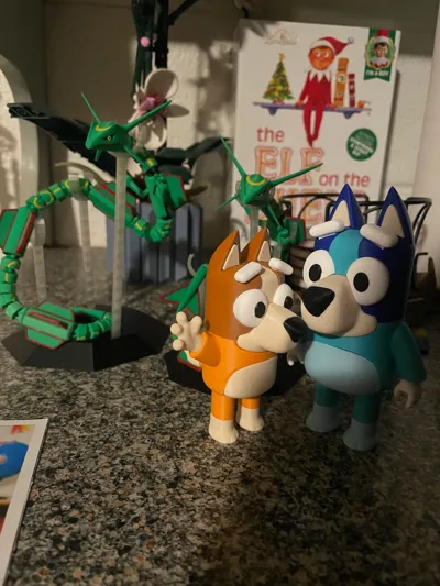 https://makerworld.bblmw.com/makerworld/model/1111930/1108663/ratings/1d27e910-ddfb-11f0-b755-6f284d692452.jpg