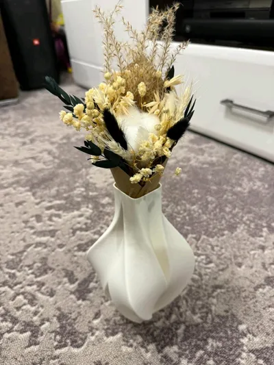 https://makerworld.bblmw.com/makerworld/model/1112134/1111462/ratings/be5859b0-acb3-11f0-89ea-01c8586fcd52.jpg