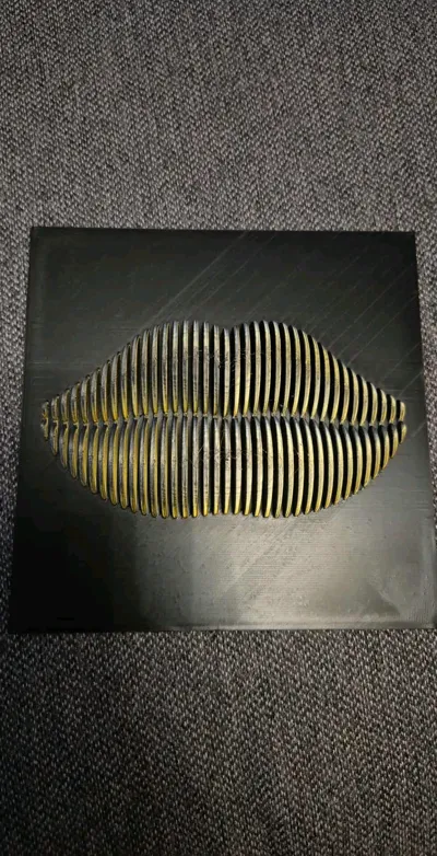 https://makerworld.bblmw.com/makerworld/model/1113023/1109926/ratings/088b8cf0-a552-11f0-bcbf-df8b3de2203c.jpg