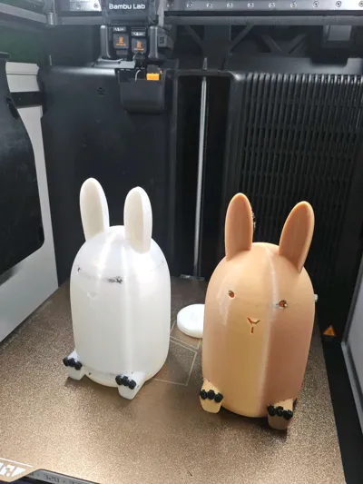 https://makerworld.bblmw.com/makerworld/model/111339/119127/ratings/e3be8870-c4a8-11f0-95f3-2df3557c0785.jpg